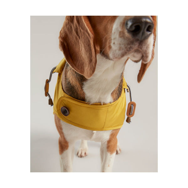 Joules Water Resistant Dog Coat image #4