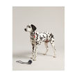 Joules Rubber and Rope Dog Toy image #3