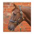 Leather Padded Headcollar image #1