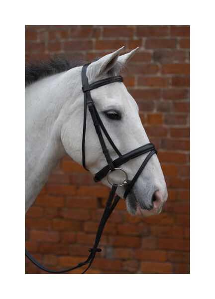 Hy Padded Flash Bridle with Rubber Grip Reins image #1