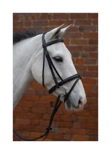 Hy Padded Flash Bridle with Rubber Grip Reins