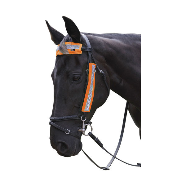 Orange HyVIZ Bridle Set