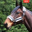 Gallop Equestrian Prestige Headcollar