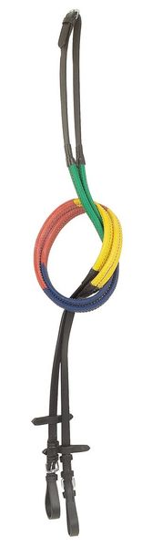 Rainbow Reins image #1