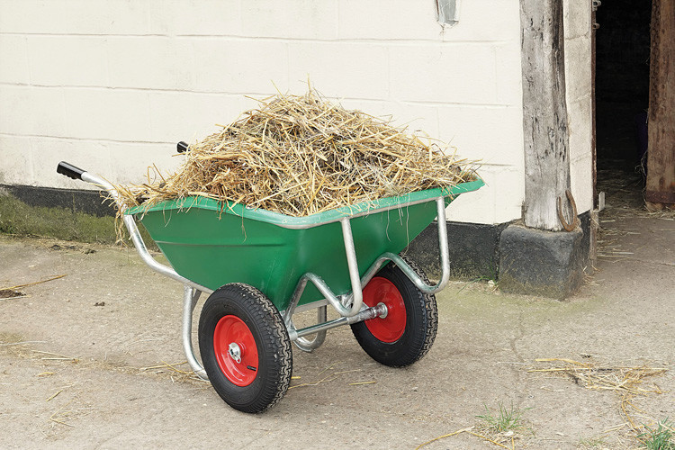 Cheeky Barrow Green