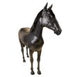 Black Life Size Display Horse
