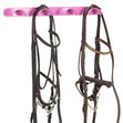 Quad Bridle Rack with 2 Bridles