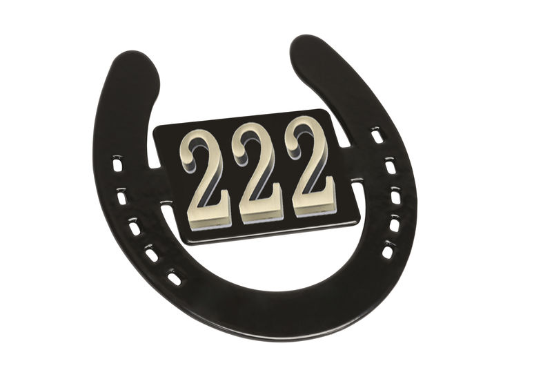 Horseshoe Nameplate image #2