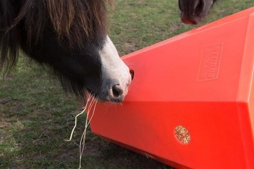 Hay Roller - Pony