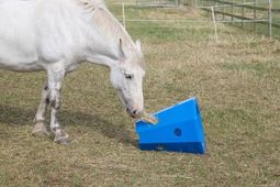 Hay Roller - Horse