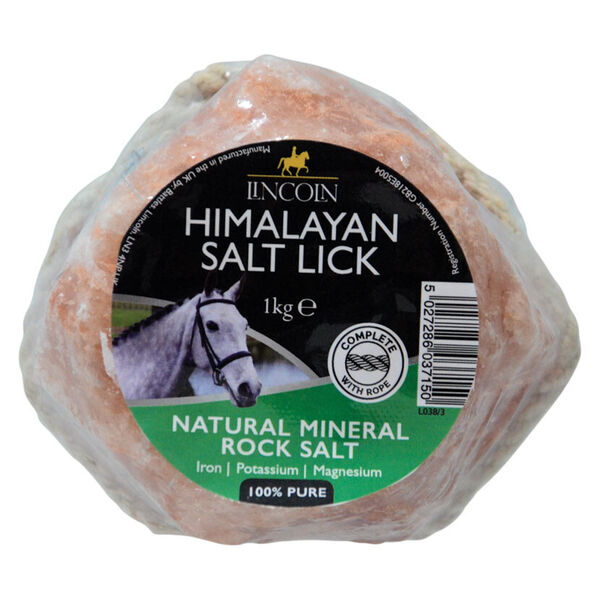 Lincoln Himalayan Salt Lick image #1