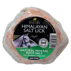 Lincoln Himalayan Salt Lick