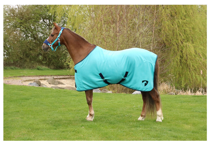 HY Equestrian Belton Fleece Rug  image #1