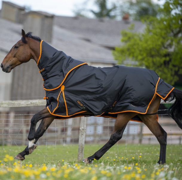 Trojan Dual 100 Turnout Rug & Neck Set image #1