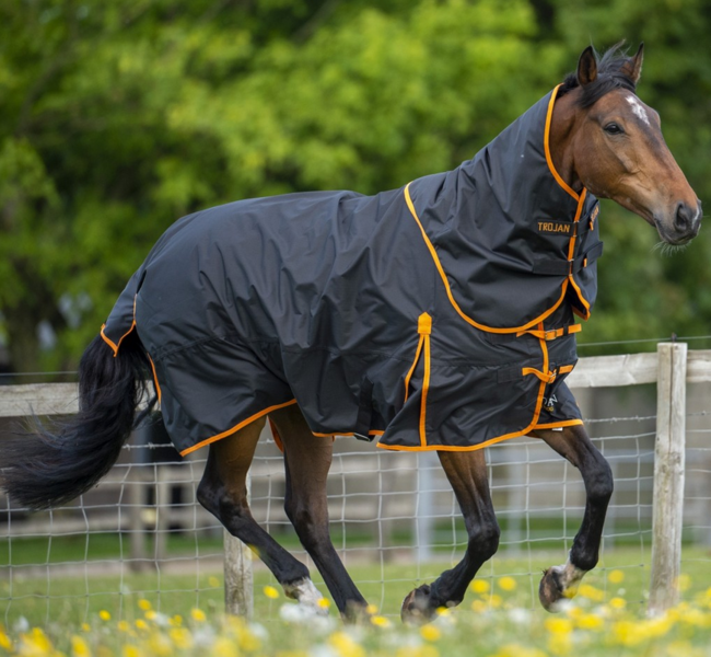 Trojan Dual 100 Turnout Rug & Neck Set image #2