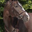 StÃ¼bben Snaffle Bridle 2300 Leitrim - Combined noseband image #4