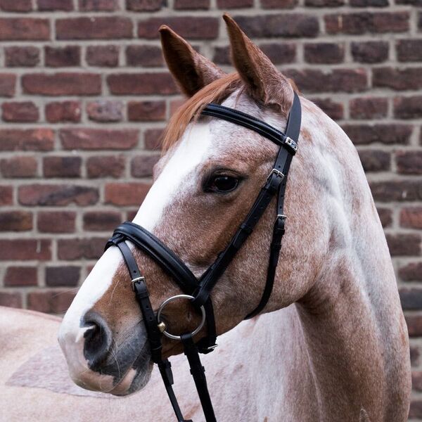 StÃ¼bben Snaffle Bridle 1001 Waterford - Combined noseband image #1