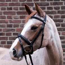 Stübben Snaffle Bridle 1001 Waterford - Combined noseband