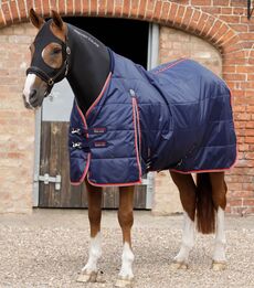 PREMIER EQUINE - Stable Buster Lite 100g