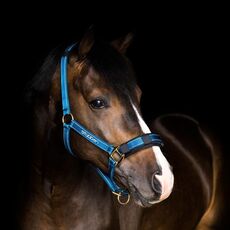 Stübben Stable halter with reflecting thread