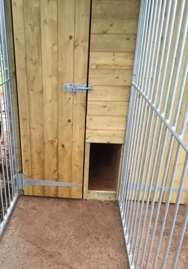 Triple Dog Kennel image #2