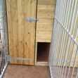 Triple Dog Kennel image #2