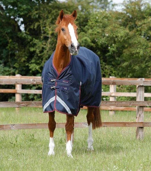 PREMIER EQUINE - Titan 200g Original Turnout Rug image #2