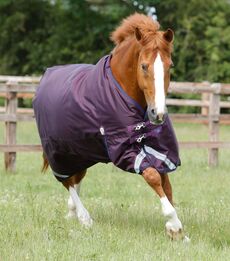 PREMIER EQUINE - Titan 200g Original Turnout Rug