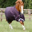 PREMIER EQUINE - Titan 200g Original Turnout Rug image #1