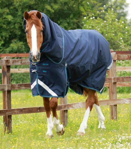 PREMIER EQUINE-Titan 200g Turnout Rug with Snug-Fit Neck Cover image #2