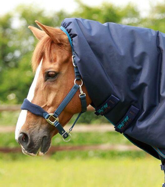 PREMIER EQUINE-Titan 200g Turnout Rug with Snug-Fit Neck Cover image #3