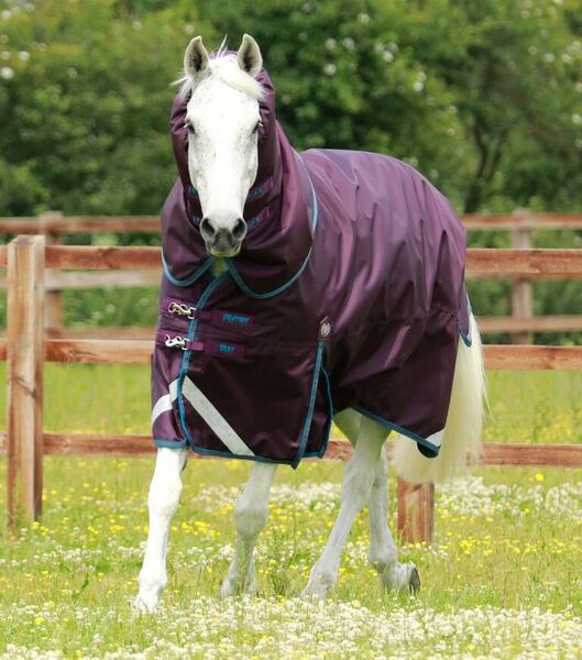 PREMIER EQUINE-Titan 200g Turnout Rug with Snug-Fit Neck Cover image #1