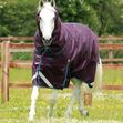 PREMIER EQUINE-Titan 200g Turnout Rug with Snug-Fit Neck Cover image #1