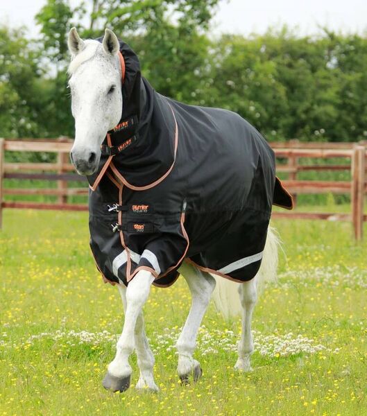 PREMIER EQUINE - Titan 300g Turnout Rug with Snug-Fit Neck Cover image #2