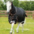 PREMIER EQUINE - Titan 300g Turnout Rug with Snug-Fit Neck Cover image #2