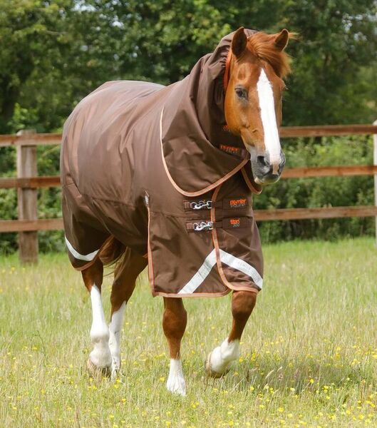 PREMIER EQUINE - Titan 300g Turnout Rug with Snug-Fit Neck Cover image #1