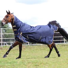 Trojan 100 Combo Turnout Rug