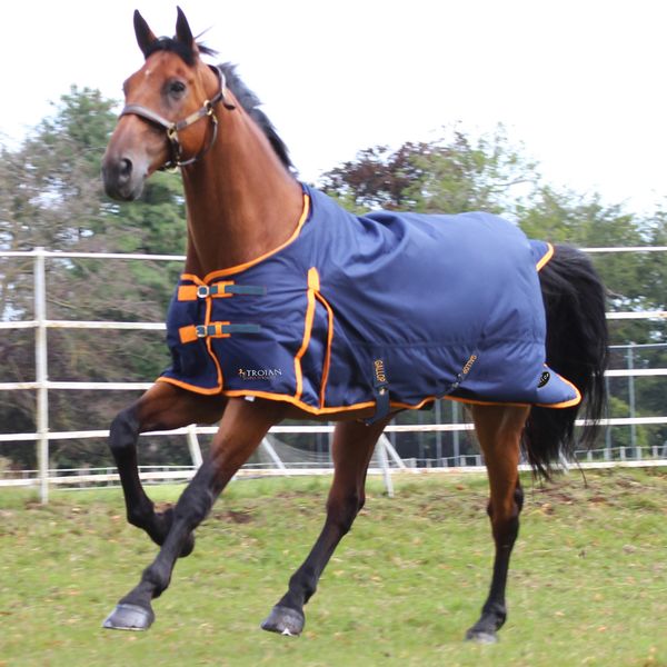 Trojan 100 Standard Turnout Rug  image #1