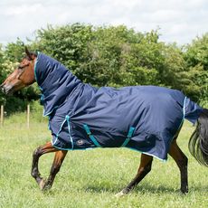 Gallop Trojan 350g Combo Turnout Rug