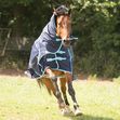 Gallop Trojan 350g Combo Turnout Rug image #3