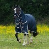 Trojan Duraproof 100g Combo Turnout Rug image #3