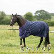 Trojan Lightweight Turnout Rug image #2