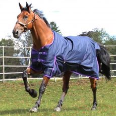 Trojan Lightweight Turnout Rug