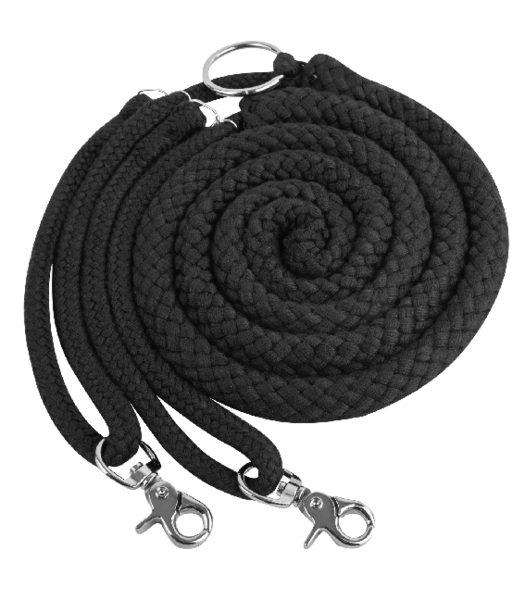 Waldhausen Lunging Aid image #3