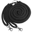 Waldhausen Lunging Aid image #3