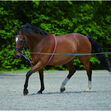 Waldhausen Lunging Aid image #1
