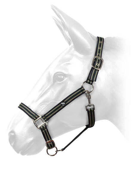 Whitaker -HORSE HEADCOLLAR image #1