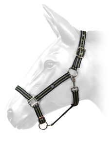 Whitaker -HORSE HEADCOLLAR